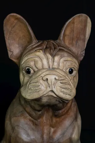 Product image of the product “Seated French Bulldog made from suar wood, 50cm Height. ”